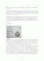 하나님의 승부수 부활 독서 감상평 21페이지