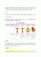 [암의 종류에 따른 증상 및 관리법] 위암, 폐암, 간암, 자궁암, 유방암, 대장암의 발생원인과 증상 및 치료방법, 암의 진단과 예방법 8페이지