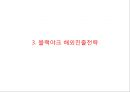 블랙야크 브랜드현황분석과 블랙야크 마케팅 SWOT,STP,4P전략분석및 블랙야크 향후시사점 PPT 9페이지