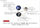 블랙야크 브랜드현황분석과 블랙야크 마케팅 SWOT,STP,4P전략분석및 블랙야크 향후시사점 PPT 18페이지