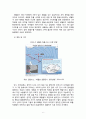 인위적 재난의 방재대책 조사 -세월호 사건에 관련하여 6페이지