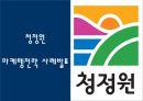 [ 청정원 마케팅사례 PPT ] 청정원 브랜드현황과 마케팅 SWOT,STP,4P전략분석및 청정원 새로운마케팅전략 제안 1페이지