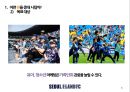 스포츠 마케팅 (서울 이랜드 FC 팬 증대 방안), 프로축구 팬 증대방안 6페이지