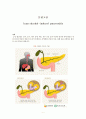 Acute Pancreatitis -CASE STUDY 급성췌장염 케이스스터디 2페이지