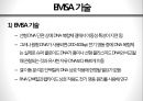 EMSA 전기 영동 이동성 변화 원리 5페이지