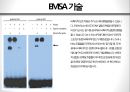 EMSA 전기 영동 이동성 변화 원리 17페이지