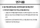 Ferritin 유전자의 형질전환 기술을 이용한 고농도 철단백 벼 육성 23페이지