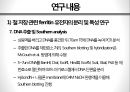 Ferritin 유전자의 형질전환 기술을 이용한 고농도 철단백 벼 육성 25페이지