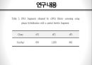 Ferritin 유전자의 형질전환 기술을 이용한 고농도 철단백 벼 육성 34페이지