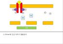 JAK 신호전달 체계 (JAK STAT PATHWAY) 3페이지