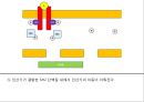 JAK 신호전달 체계 (JAK STAT PATHWAY) 5페이지