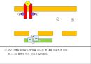 JAK 신호전달 체계 (JAK STAT PATHWAY) 7페이지