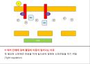 JAK 신호전달 체계 (JAK STAT PATHWAY) 10페이지