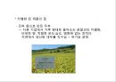 풀무원 기업현황과 성공요인및 풀무원 마케팅 SWOT,STP,4P전략분석과 풀무원 개선방안과 향후전망 PPT 13페이지