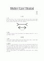 Muller-Lyer Illusion(뮐러-라이어 착시)실험보고서 1페이지
