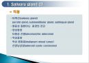 두경부 (Head & Neck) CT 에 관하여 3페이지