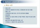 두경부 (Head & Neck) CT 에 관하여 6페이지