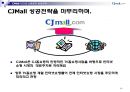 CJmall인터넷 쇼핑몰전략,인터넷 쇼핑몰시장분석 성공전략.ppt 49페이지