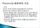 pharynx cancer(인두암)에 관한 PPT 4페이지