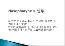 pharynx cancer(인두암)에 관한 PPT 6페이지