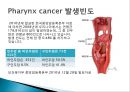 pharynx cancer(인두암)에 관한 PPT 13페이지