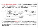 [파업의 종류] 노동쟁의 쟁점과 조정기법 20페이지