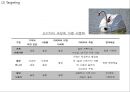 [ 캐논 기업전략,마케팅사례연구 PPT ] Canon 캐논 기업경영전략 분석과 마케팅 SWOT,STP,4P전략분석및 캐논 향후전략방안 제언 20페이지