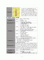 발작 및 간질(seizure & epilepsy) A + 케이스 스터디, case study, 사례연구 12페이지