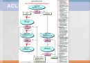 ACLS, advenced cardio vascular life support 25페이지