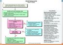 ACLS, advenced cardio vascular life support 28페이지