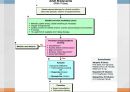ACLS, advenced cardio vascular life support 29페이지