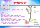 [간호학과] 소화기계 부속기관 발표자료 18페이지
