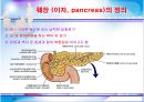 [간호학과] 소화기계 부속기관 발표자료 22페이지