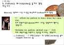 여우 볼포네 1막부터 3막까지의 내용을 토대로 한 질의 응답과 작가 소개, 작품 소개 23페이지