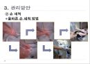HACCP 위생교육 사례(위생교육 자료, 단체급식 조리종사자 대상) 6페이지