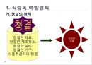 HACCP 위생교육 사례(위생교육 자료, 단체급식 조리종사자 대상) 31페이지