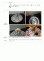 [만5세 과학모의수업] [모의수업계획안] [마시멜로 화산만들기] 4페이지