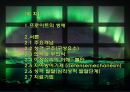 프로이트의 정신분석적 치료 2페이지