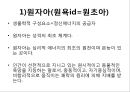 프로이트의 정신분석적 치료 13페이지