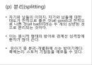 프로이트의 정신분석적 치료 44페이지