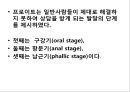 프로이트의 정신분석적 치료 48페이지
