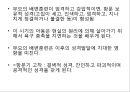 프로이트의 정신분석적 치료 54페이지