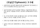 프로이트의 정신분석적 치료 55페이지