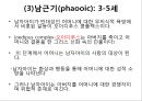 프로이트의 정신분석적 치료 56페이지