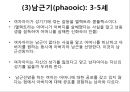 프로이트의 정신분석적 치료 58페이지