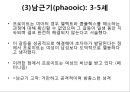 프로이트의 정신분석적 치료 60페이지