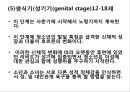 프로이트의 정신분석적 치료 62페이지