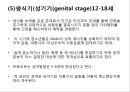 프로이트의 정신분석적 치료 63페이지