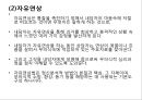 프로이트의 정신분석적 치료 66페이지