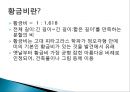 황금비(황금비율) 3페이지